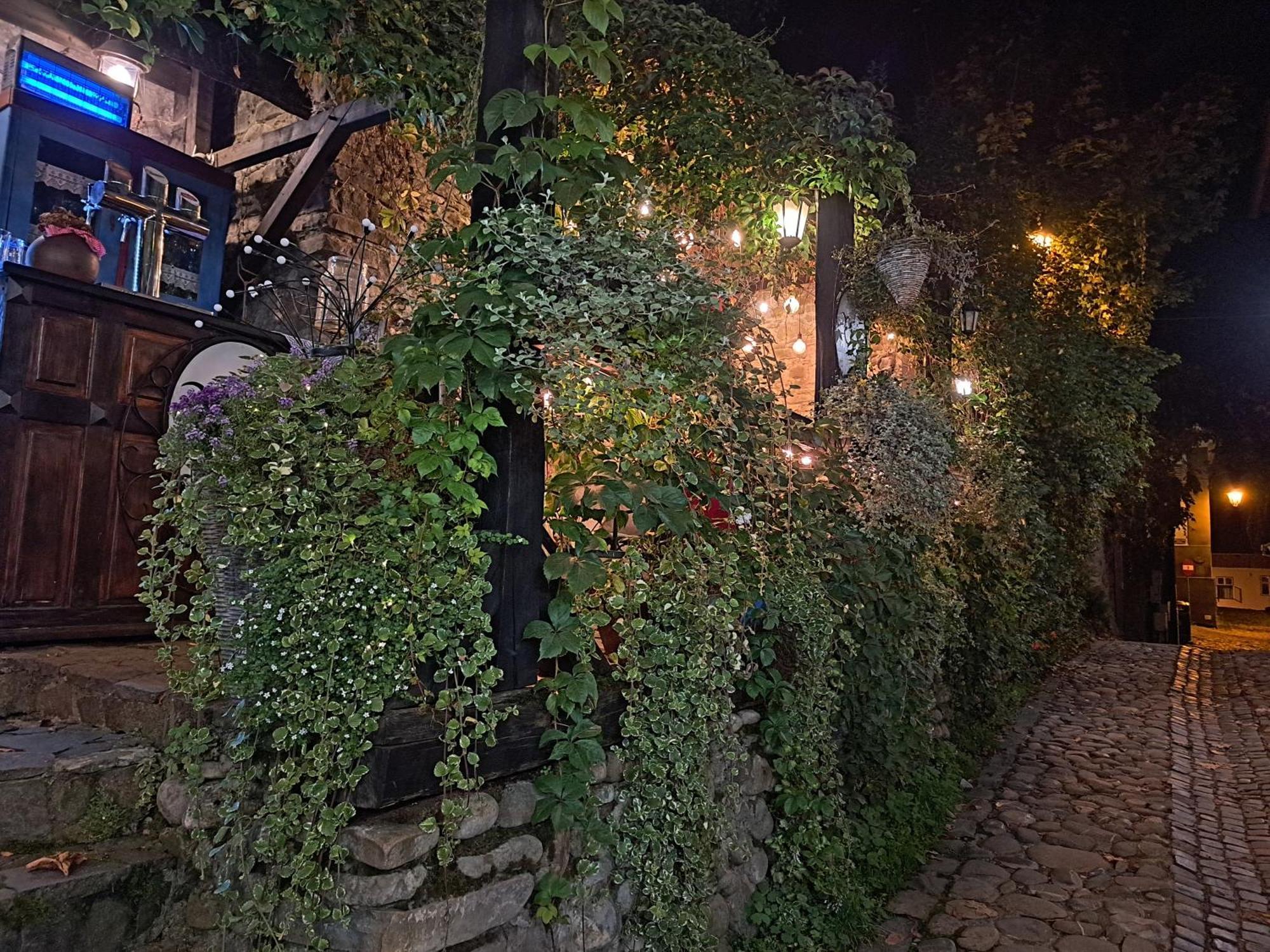 Casa Cositorarului Boutique Pension Segesvár Kültér fotó