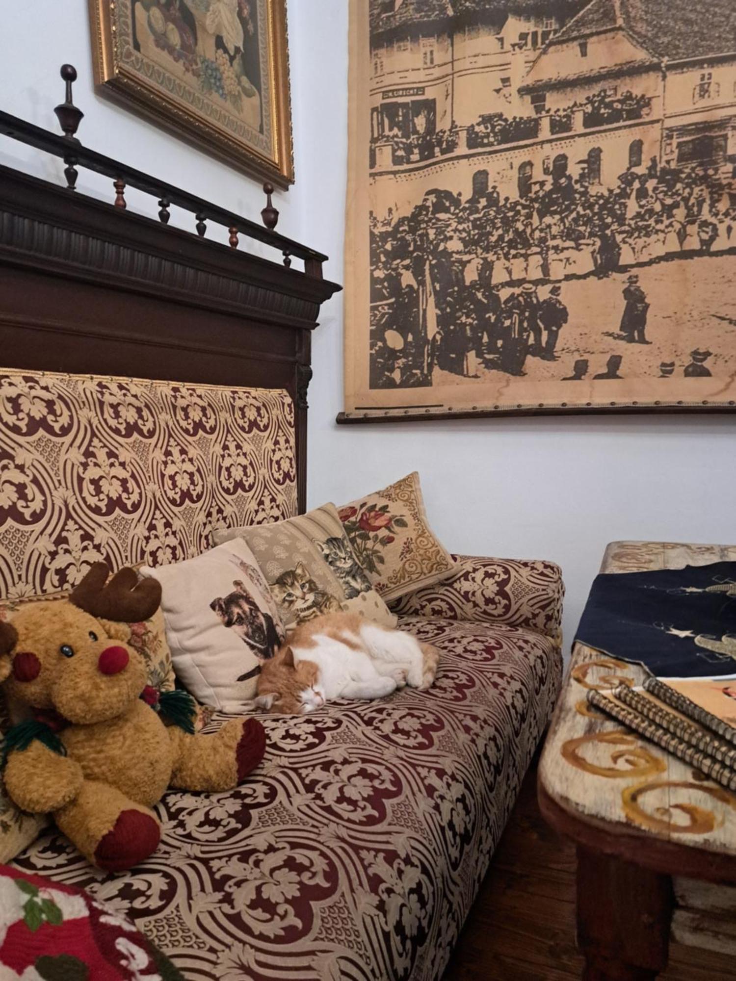 Casa Cositorarului Boutique Pension Segesvár Kültér fotó